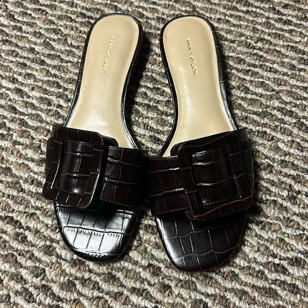 Ann Taylor Sutton Croc Buckle Slide size 6